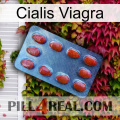 Cialis Viagra 06